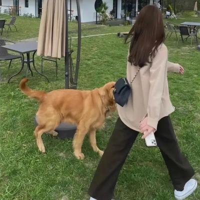 超完美谋杀案