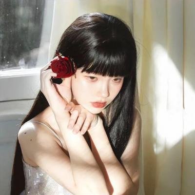 归途如虹